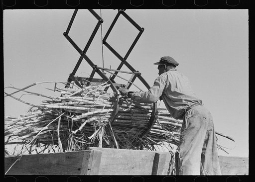 Untitled photo, possibly related to: Manipulating scissors crane used for loading sugarcane in field near New Iberia, Louisiana
