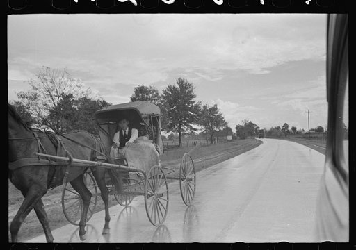 Untitled photo, possibly related to: Buggy stopped on highway near Lafayette, Louisiana