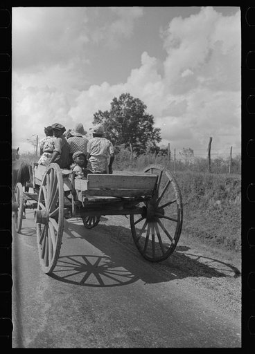 Negro family going to town in wagon near Opelousas, Louisiana