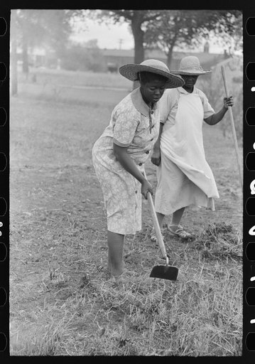 Negro women hoeing, Picayune, Mississippi