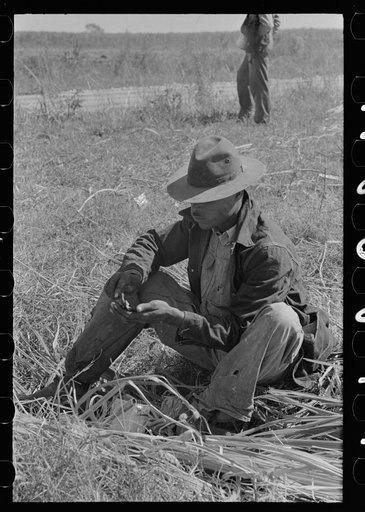 Negro sugarcane worker eating lunch in field near New Iberia, Louisiana