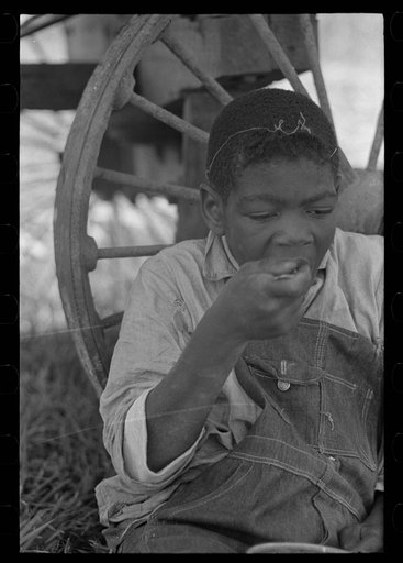 Negro boy eating lunch by wagon in sugarcane field near New Iberia, Louisiana