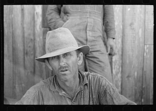 Sugarcane farmer near Delcambre, Louisiana
