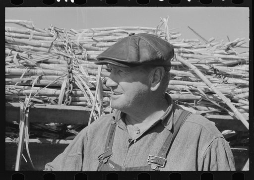 Sugarcane farmer, Delcambre, Louisiana
