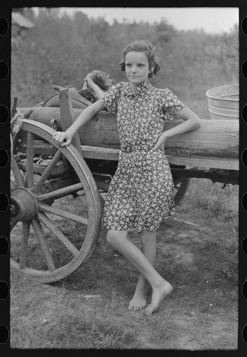 Farm girl leaning on wagon, near Morganza, Louisiana