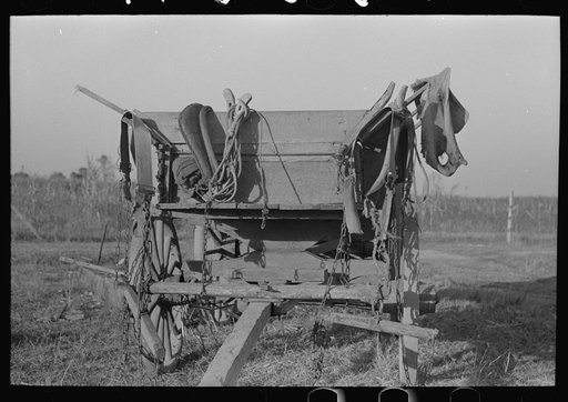 Wagon and harness belonging to Cajun sugarcane farmer near New Iberia, Louisiana