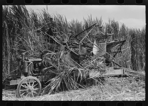 Mechanical sugarcane harvester developed by Allen Ramsey Wurtele, Mix, Louisiana. Mr. Wurtel spent several years with this development, and the machine is semi-successful. It is recognized that with developments and improvements pending, this machine will be in successful operation within a few year
