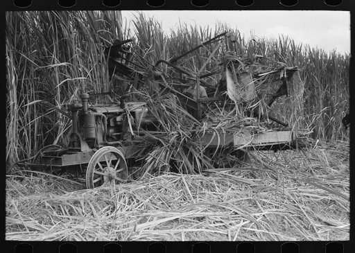 Untitled photo, possibly related to: Decorated graves in cemetery on All Saints' Day at New Roads, Louisiana