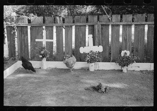 Decorated graves in cemetery, All Saints' Day, New Roads, Louisiana, with chickens eating the flowers