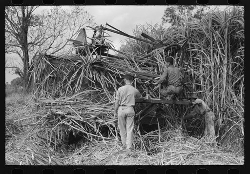 Wurtele sugarcane harvester bogged down and out of temporary running condition, Mix, Louisiana