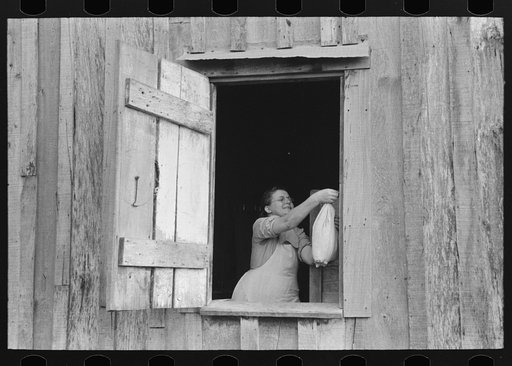Wife of FSA (Farm Security Administration) client near Morganza, Louisiana removing bag of food from nail