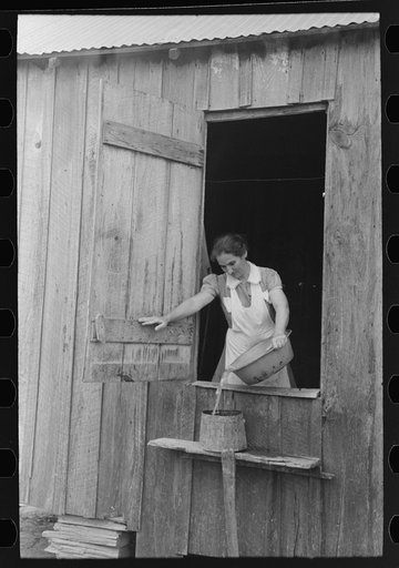 Wife of FSA (Farm Security Administration) client who will participate in the tenant purchase pouring dishwater into slop pail, near Morganza, Louisiana