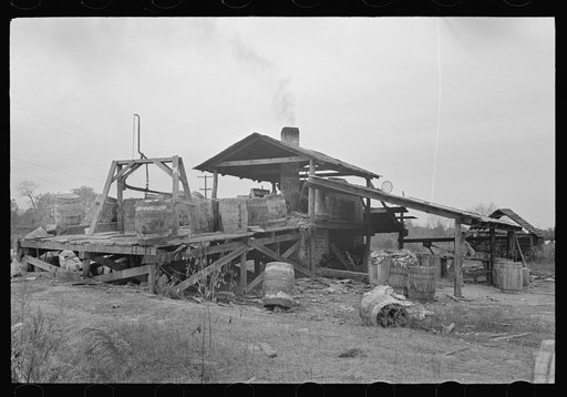 Turpentine still, State Line, Mississippi