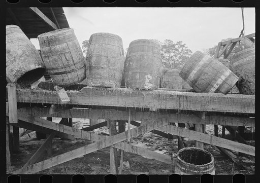 Empty barrels which had contained pitch from the turpentine pine at still, State Line, Mississippi