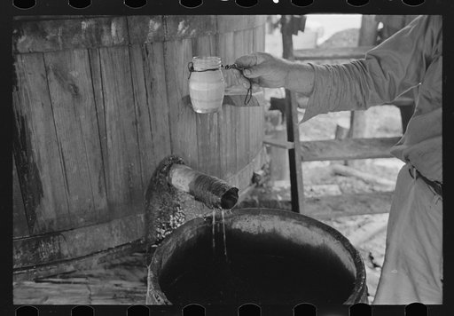 Distillate from turpentine still separates into two layers of water and spirits of turpentine which are easily removed from one another, State Line, Mississippi