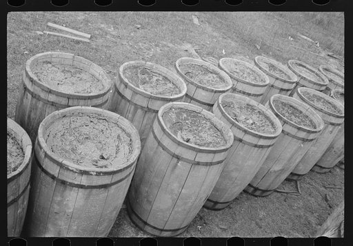 Turpentine still, State Line, Mississippi
