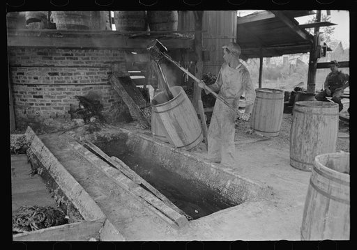 Turpentine still, State Line, Mississippi