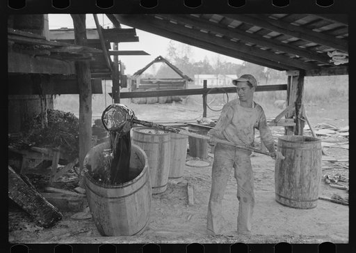 Turpentine still, State Line, Mississippi