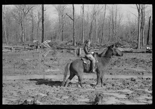 Untitled photo, possibly related to: Home supervisor of Chicot Farms project must ride horseback to get to and from project. Arkansas