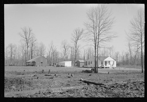 Farmstead, Chicot Farms, Arkansas