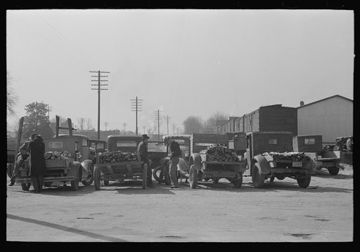 Farmers bring trailor loads of wood to Laurel, Mississippi on Saturday afternoon to sell to local people