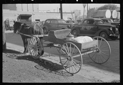Spring wagon and horse with farmers' staples of coal, oil and flour, Laurel, Mississippi