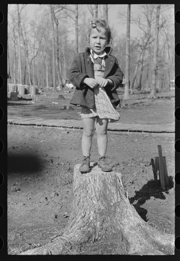 Untitled photo, possibly related to: Daughter of farmer, Chicot Farms, Arkansas