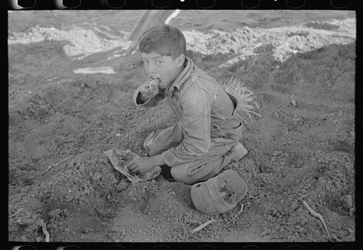 Young Mexican boy, carrot worker, eating "second breakfast" in field near Santa Maria, Texas. The lunches of the Mexican workers usually consist of tortillas and fried onions and cold coffee