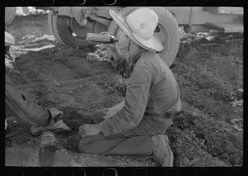 Young Mexican boy, carrot worker, eating "second breakfast" in field near Santa Maria, Texas. The lunches of the Mexican workers usually consist of tortillas and fried onions and cold coffee