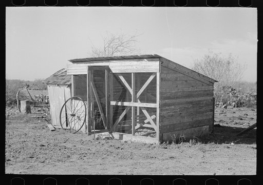 Chicken coop on farm of small vegetable farmer near Santa Maria, Texas