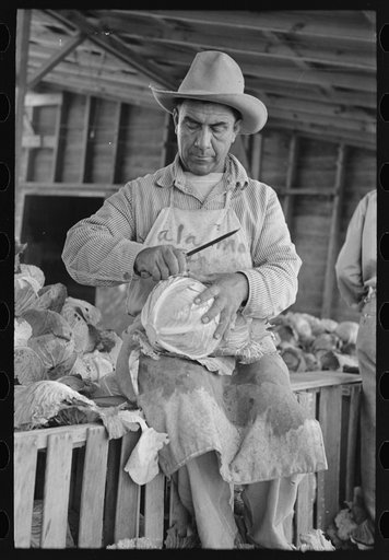 Mexican cabbage packer, Alamo, Texas