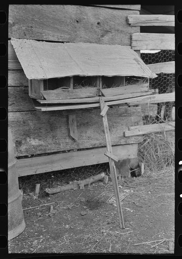 Hen nests at sharecropper's cabin near Pace, Mississippi. Background photo for Sunflower Plantation