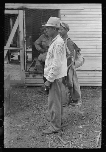 Untitled photo, possibly related to: Mexican citrus workers near Weslaco, Texas