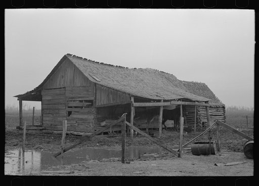 Barn of sharecropper near Pace, Mississippi. Background photo for Sunflower Plantation