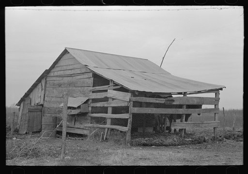 Untitled photo, possibly related to: Barn of sharecropper near Pace, Mississippi. Background photo for Sunflower Plantation
