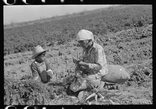 Mexican carrot worker with son, Edinburg, Texas