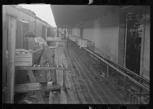 Loading platform of vegetable packinghouse at Elsa, Texas