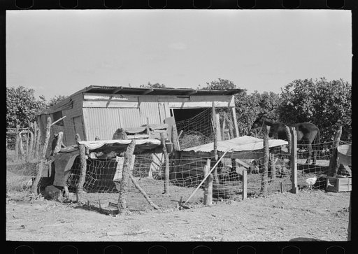 Untitled photo, possibly related to: Hog house and chicken coop of Hidalgo County, Texas, farm