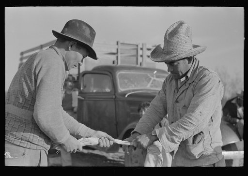 Mexican labor contractor and worker cutting straw ties into proper length, near Santa Maria, Texas
