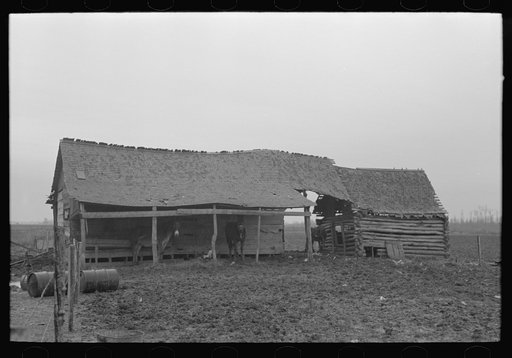 Untitled photo, possibly related to: Back door of sharecropper's house, Pace, Mississippi. Background photo for Sunflower Plantation.