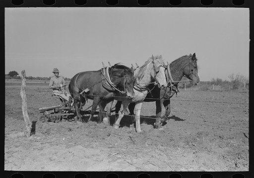 Farmer discing land, Weslaco, Texas. FSA (Farm Security Administration) client