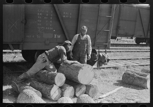 Untitled photo, possibly related to: Negro resting on pile of logs to be loaded into box car, Eudora, Arkansas. These logs will be shipped to Tallulah, Louisiana to be made into barrel staves