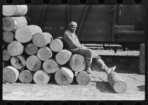 Negro resting on pile of logs to be loaded into box car, Eudora, Arkansas. These logs will be shipped to Tallulah, Louisiana to be made into barrel staves