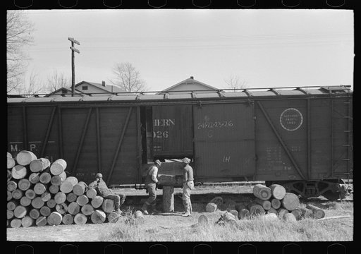 Loading logs to be made into barrel staves at Tallulah, Louisiana. Loading point, Eudora, Arkansas