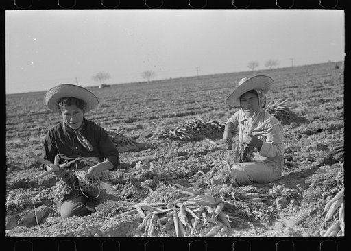 Young Mexican couple, carrot workers, Edinburg, Texas
