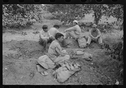 Citrus workers resting, Weslaco, Texas