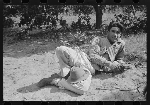 Mexican citrus worker near Weslaco, Texas