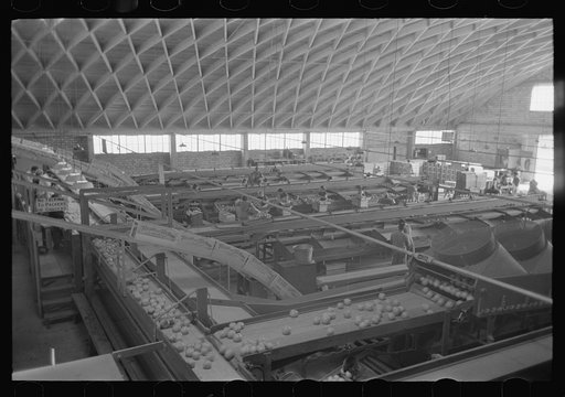 Citrus packing plant in Weslaco, Texas