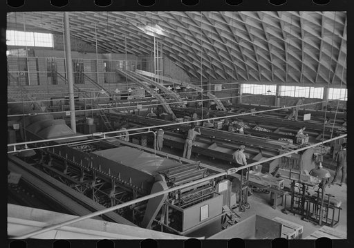 Citrus packing plant in Weslaco, Texas