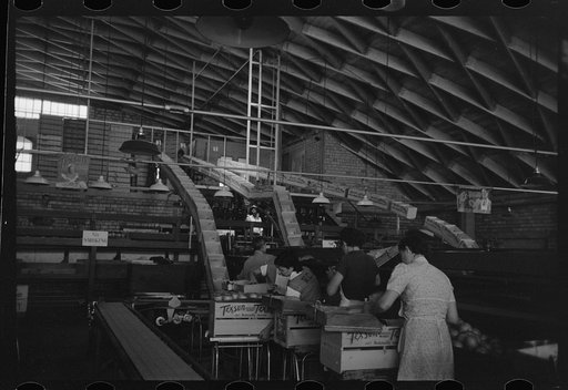 Citrus packing plant in Weslaco, Texas